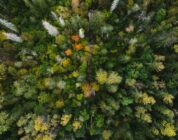 Alles over het telefoonnummer +31 30 654 09 79 en wat je moet weten