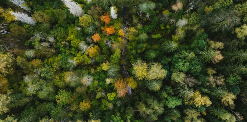 Alles over het telefoonnummer +31 30 654 09 79 en wat je moet weten