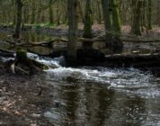 Het overlijden van worstellegende Hulk Hogan: een tijdperk voorbij