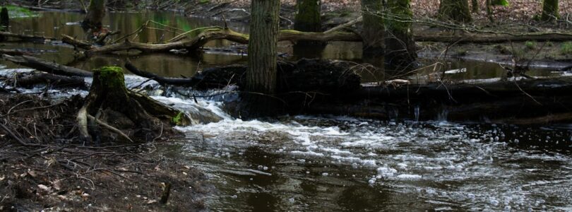 Het overlijden van worstellegende Hulk Hogan: een tijdperk voorbij