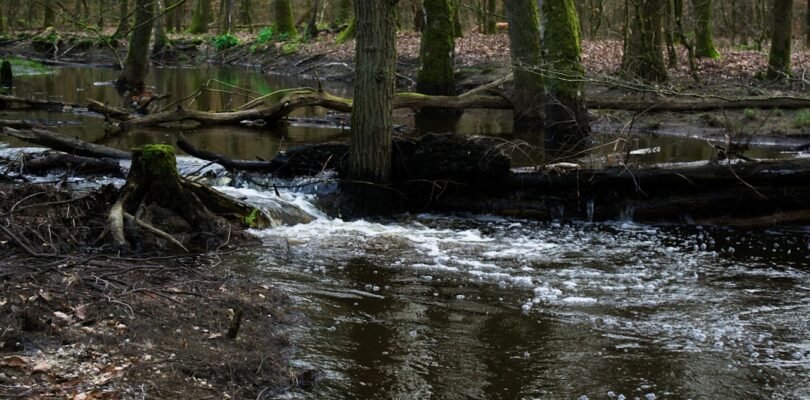 Het overlijden van worstellegende Hulk Hogan: een tijdperk voorbij