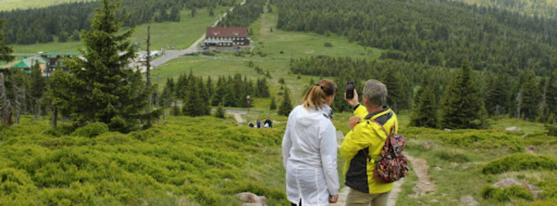 Groene wandelpaden tussen dorpen: Hoe natuurpaden biodiversiteit versterken