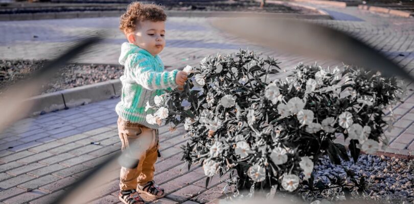 Deze telefoons ondersteunen WhatsApp binnenkort niet meer