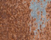 De levensduur van je smartphone: hoe lang kun je ermee doen?