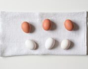 Provider vergelijken: zo vind je het abonnement dat echt bij je past